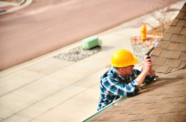Best Roof Gutter Cleaning  in Salamatof, AK