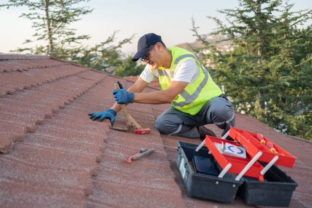 Best Gutter Installation and Roofing  in Salamatof, AK