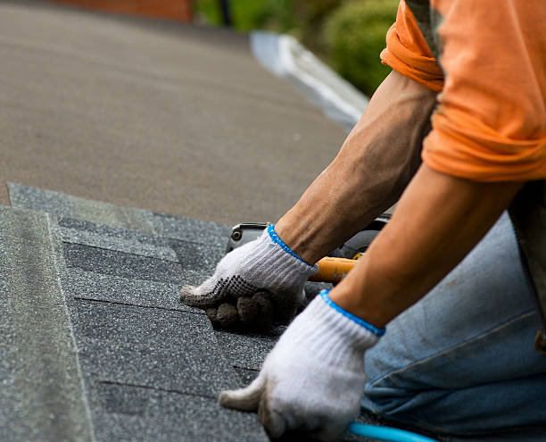 Best New Roof Installation  in Salamatof, AK