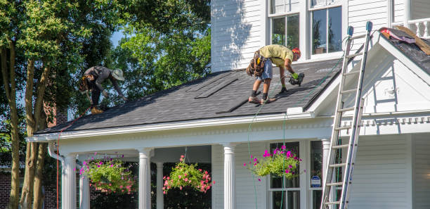 Best New Roof Installation  in Salamatof, AK